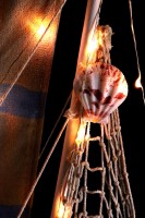 Vorschau: 1 Vorschau: 1