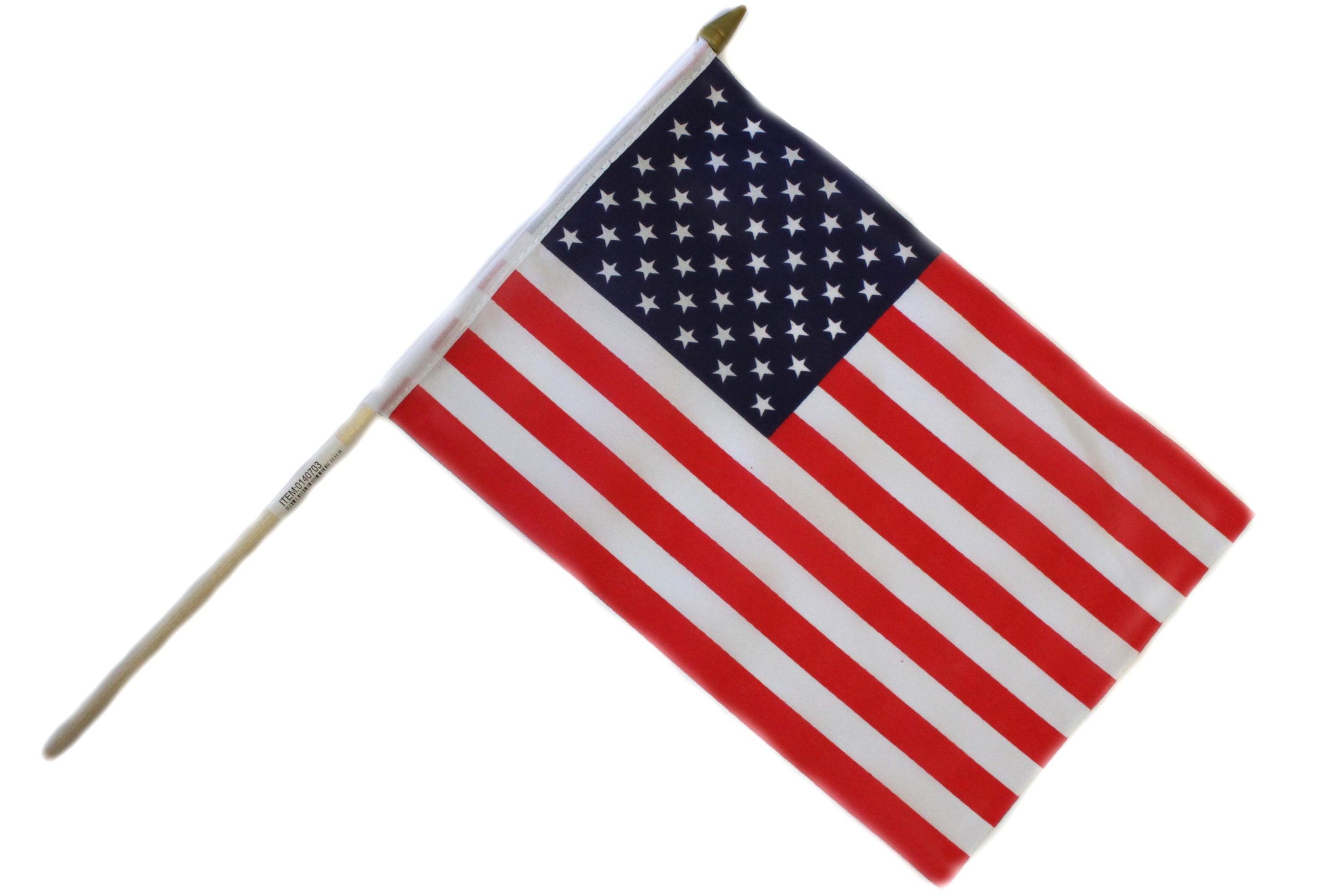 Flagge Texas USA, 30 X 45 Cm – Hochwertige Polyester-Fahne Mit Hohlsaum Für Fahnenmast