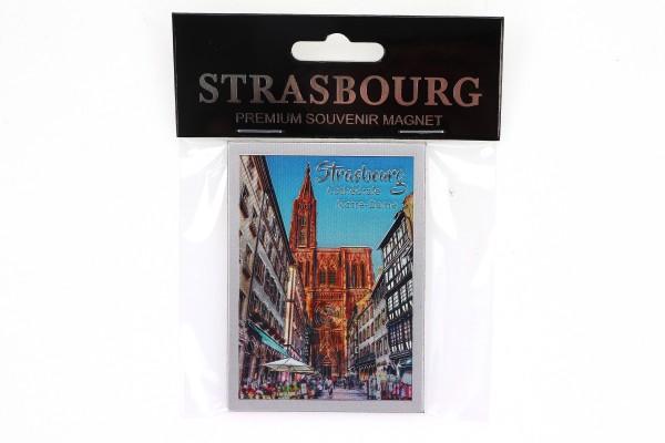 0043080 Magnet &quot;Strasbourg Cathédrale&quot; silber geprägt und glitzernd 7,5*5,5cm